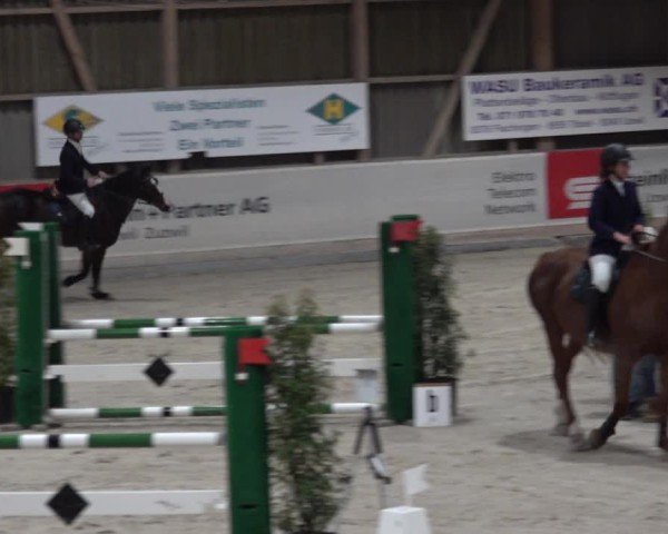 Reitturnier Henau 2024