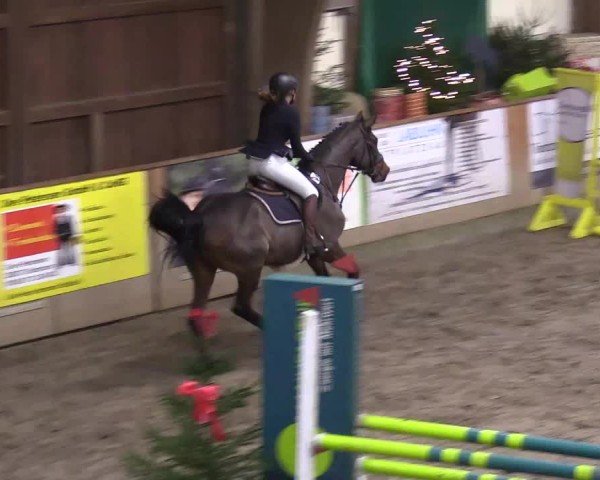 Reitturnier Leck 2024