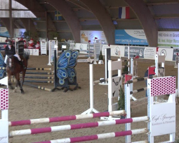 Reitturnier Essen-Stadtwald 2024