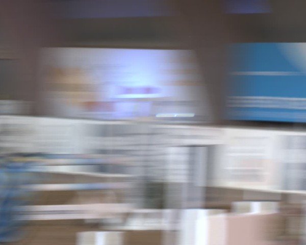 Reitturnier Essen-Stadtwald 2024
