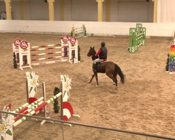 Reitturnier Stadl-Paura 2024