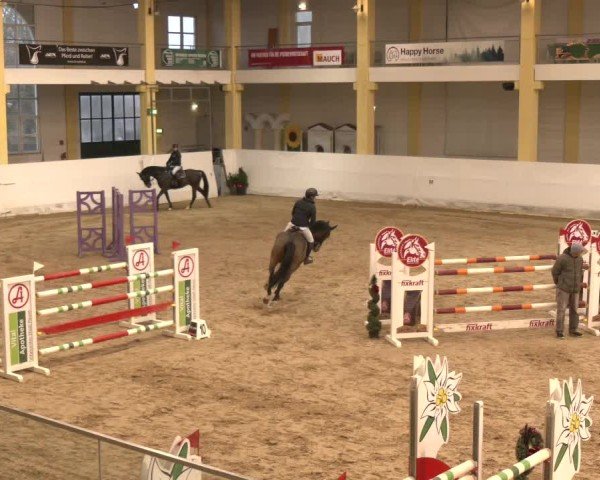 Reitturnier Stadl-Paura 2024