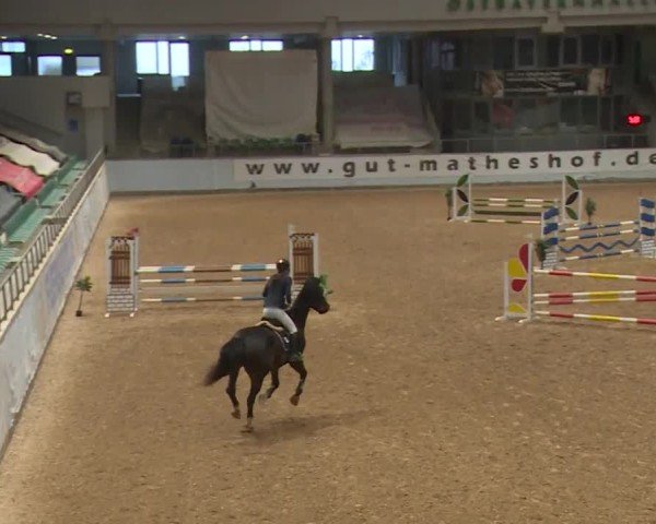 Reitturnier Kreuth/Opf. 2024