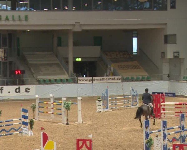 Reitturnier Kreuth/Opf. 2024