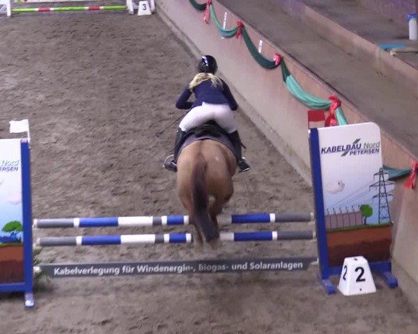 Reitturnier Leck 2024