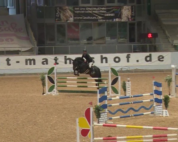 Reitturnier Kreuth/Opf. 2024