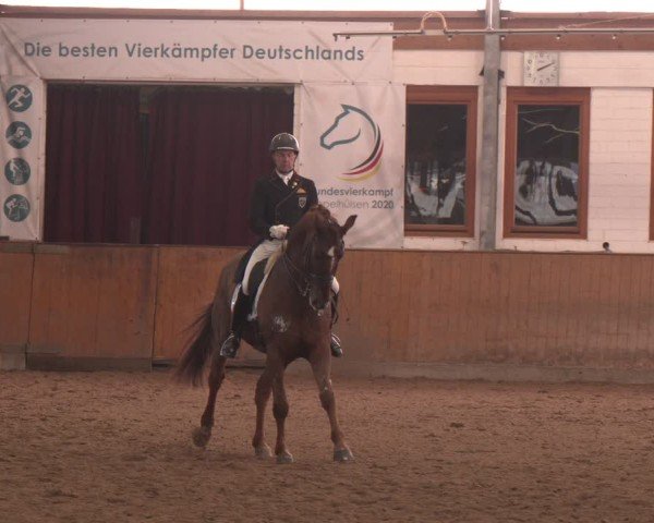 Reitturnier Appelhülsen 2024