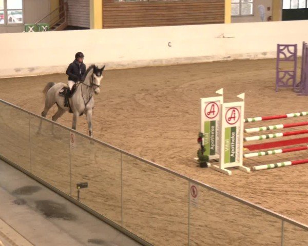 Reitturnier Stadl-Paura 2024