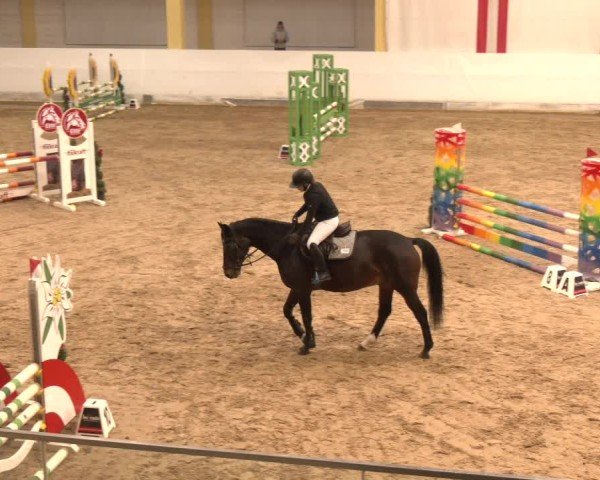 Reitturnier Stadl-Paura 2024