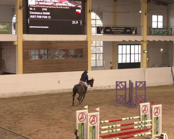Reitturnier Stadl-Paura 2024