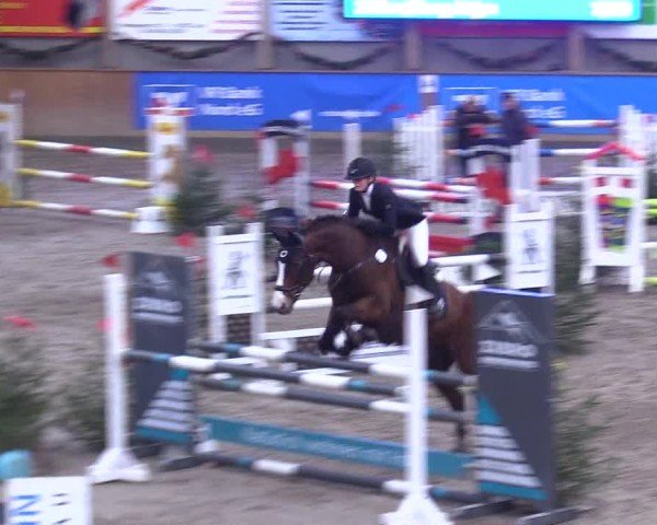 Reitturnier Leck 2024