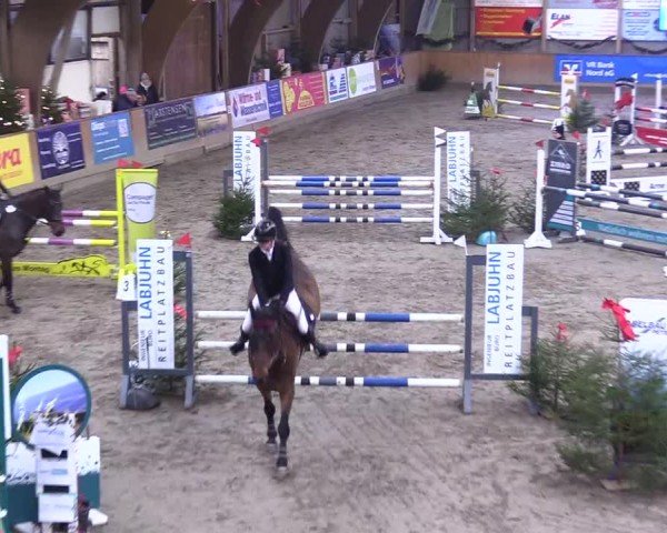 Reitturnier Leck 2024