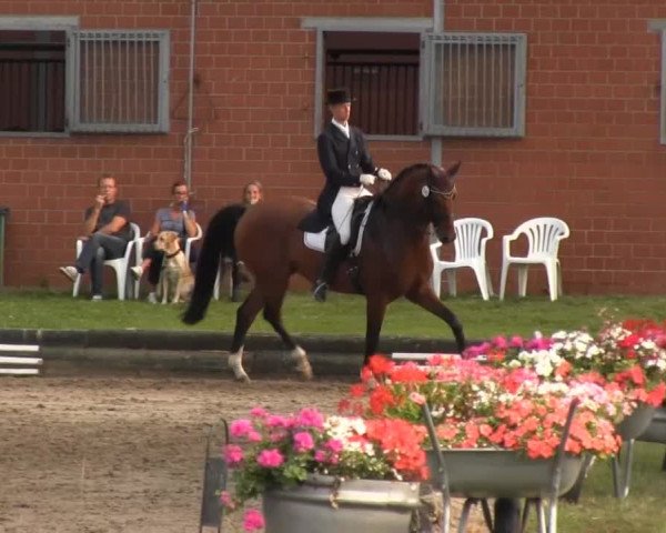 Datteln 2013