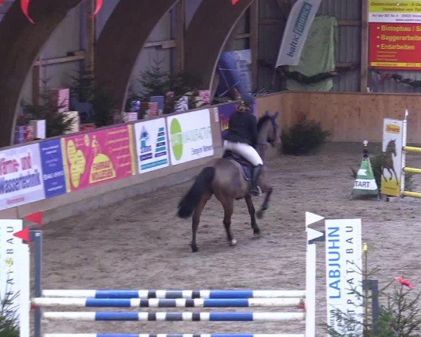 Reitturnier Leck 2024