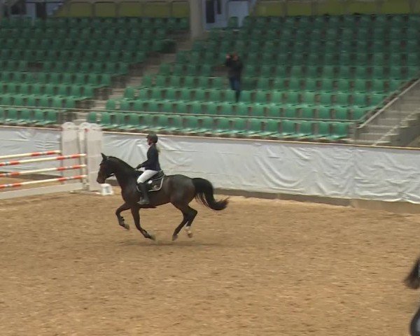 Reitturnier Kreuth/Opf. 2024