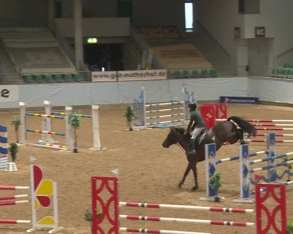 Reitturnier Kreuth/Opf. 2024
