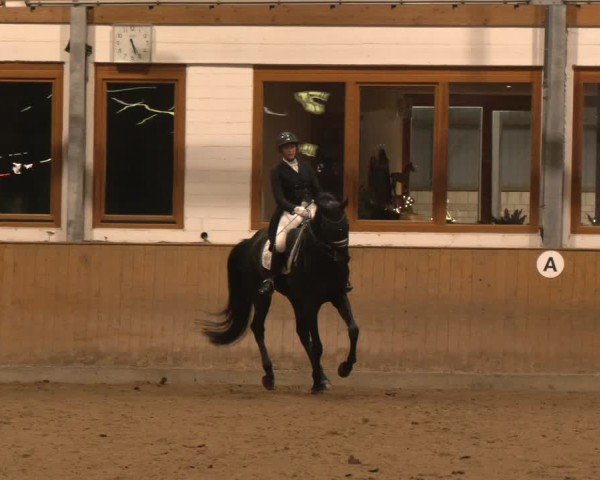Reitturnier Appelhülsen 2024