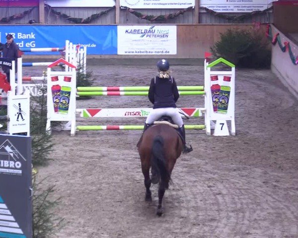Reitturnier Leck 2024