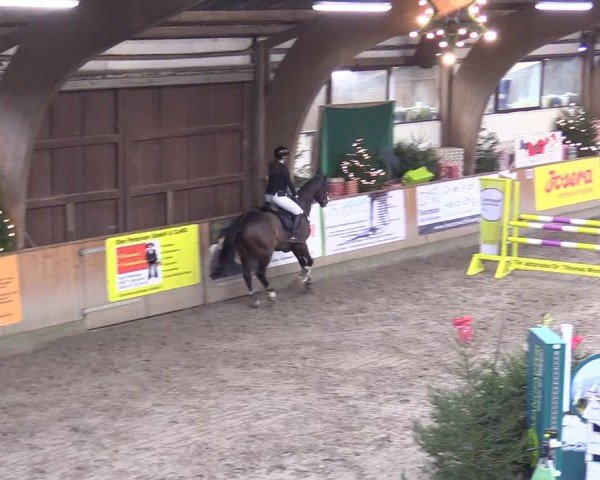 Reitturnier Leck 2024