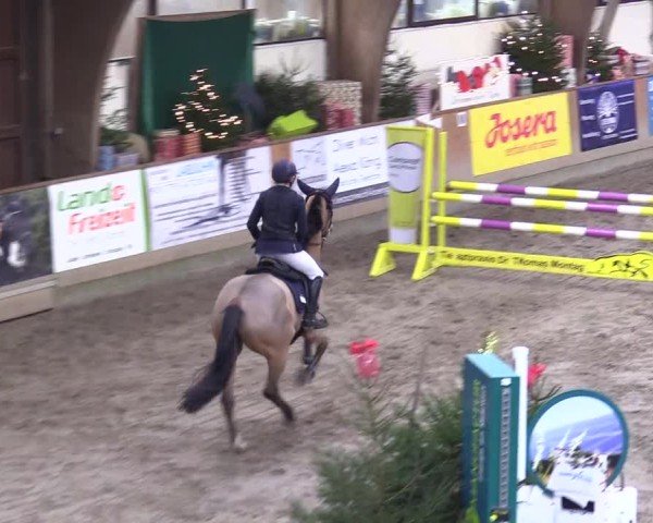 Reitturnier Leck 2024