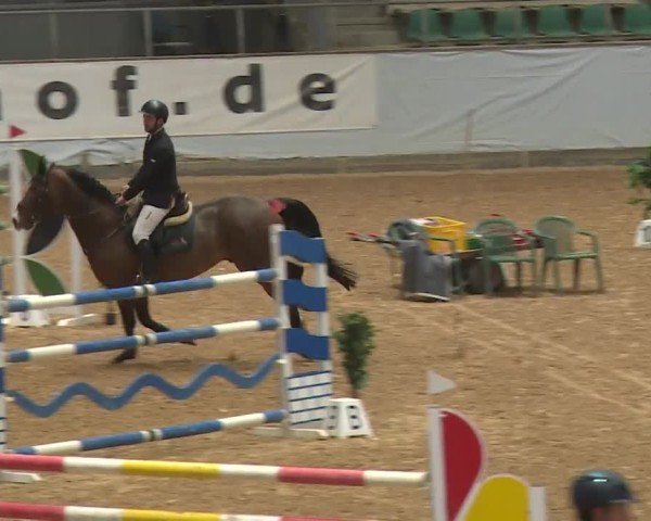 Reitturnier Kreuth/Opf. 2024