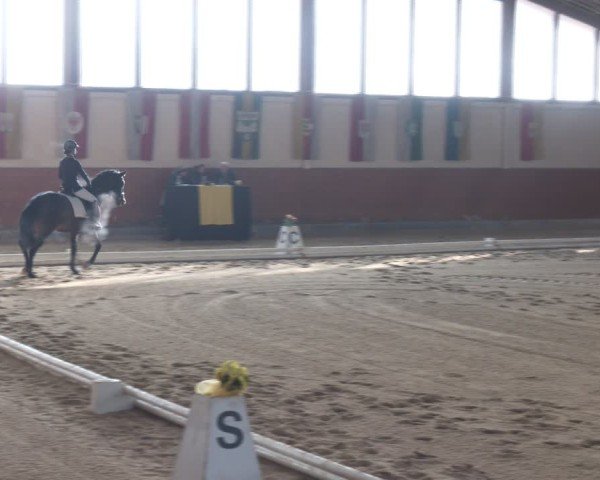 Reitturnier Weikersdorf am Steinfelde 2024