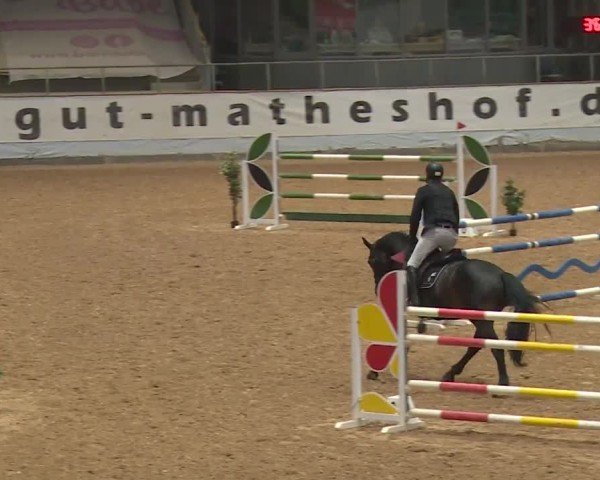 Reitturnier Kreuth/Opf. 2024