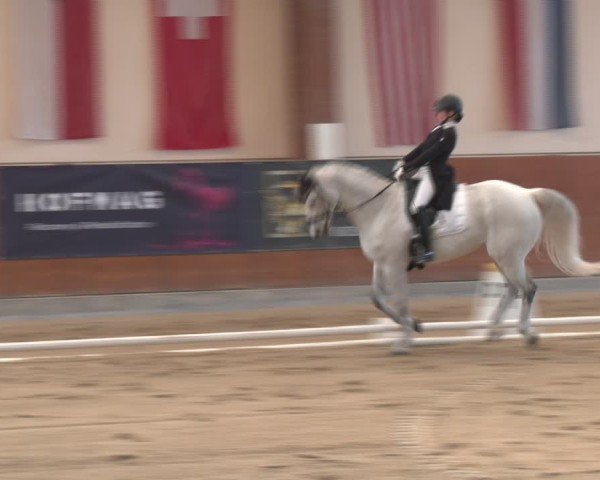 Reitturnier Weikersdorf am Steinfelde 2024