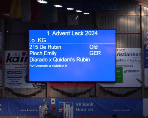 Reitturnier Leck 2024