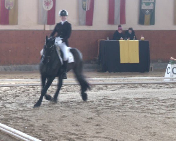 Reitturnier Weikersdorf am Steinfelde 2024