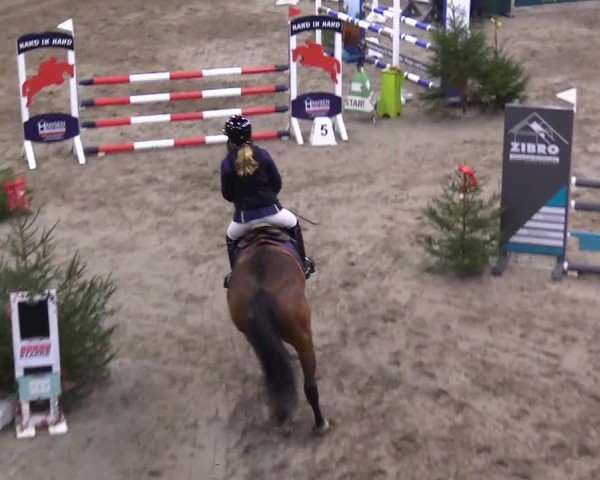 Reitturnier Leck 2024