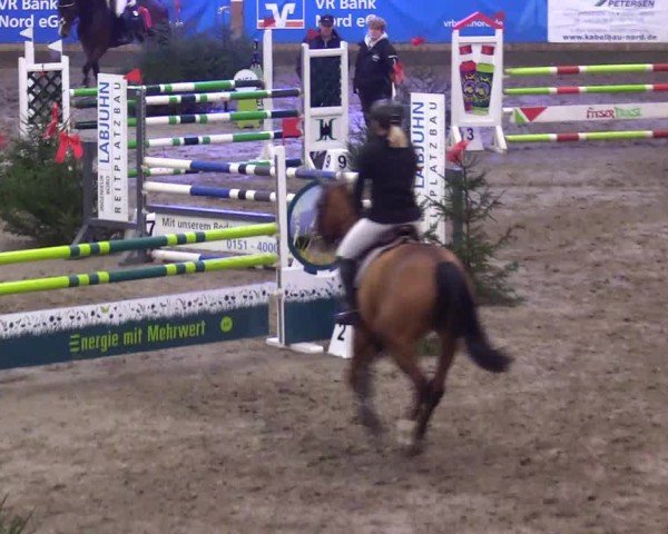 Reitturnier Leck 2024