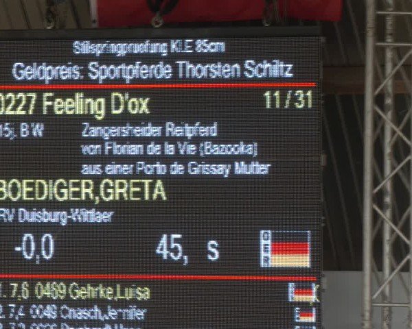 Reitturnier Essen-Stadtwald 2024