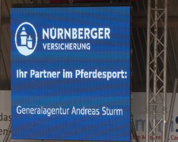 Reitturnier Essen-Stadtwald 2024