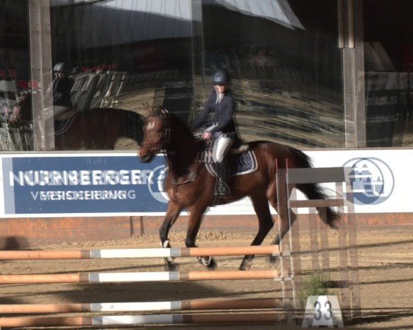 Reitturnier Essen-Stadtwald 2024