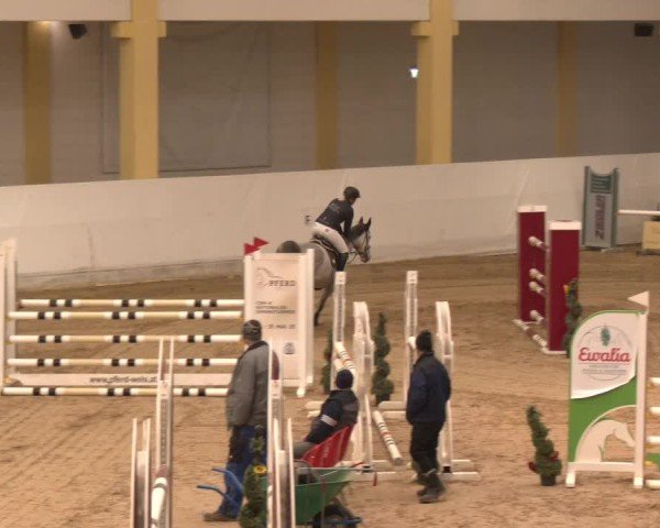 Reitturnier Stadl-Paura 2024