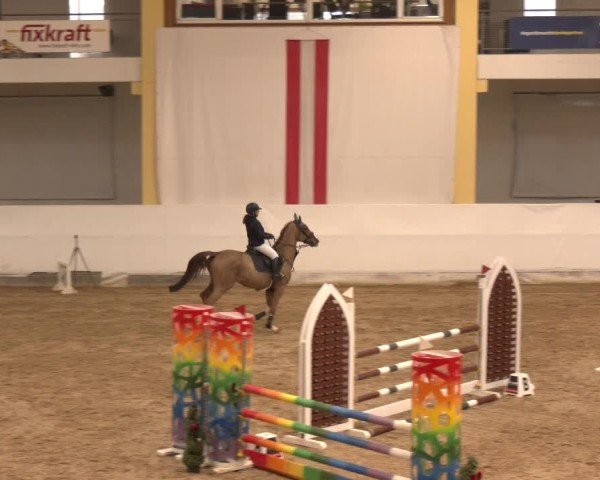 Reitturnier Stadl-Paura 2024