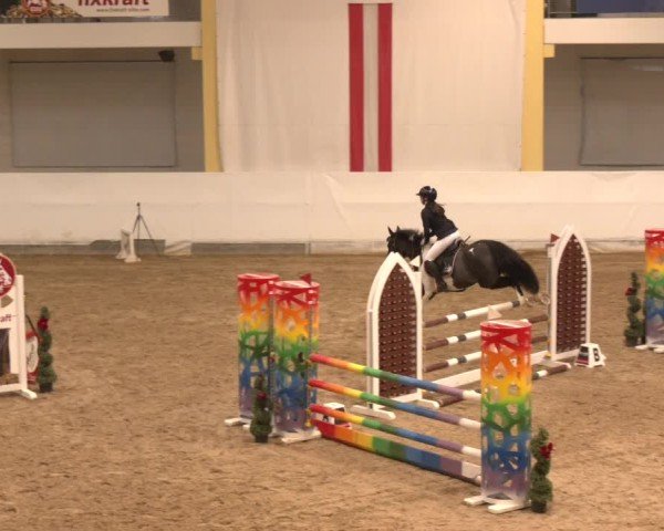 Reitturnier Stadl-Paura 2024