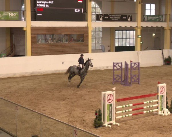 Reitturnier Stadl-Paura 2024