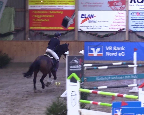 Reitturnier Leck 2024