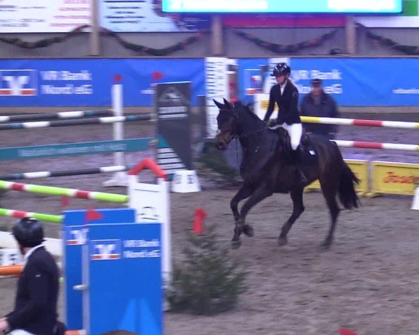 Reitturnier Leck 2024