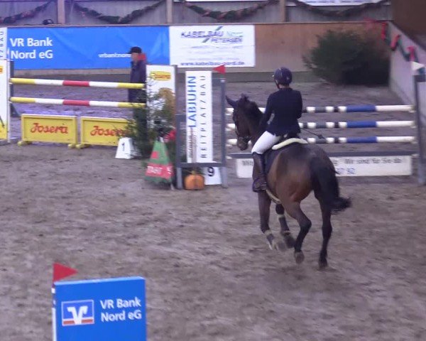 Reitturnier Leck 2024