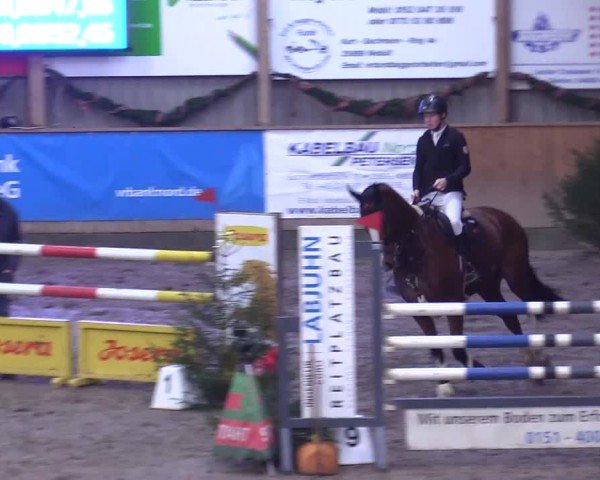 Reitturnier Leck 2024