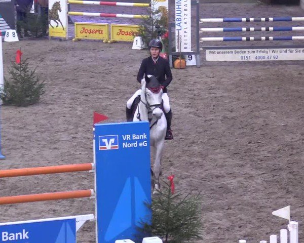 Reitturnier Leck 2024