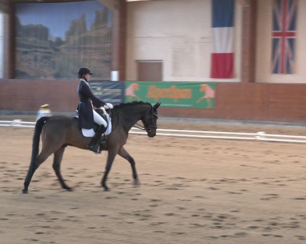 Reitturnier Weikersdorf am Steinfelde 2024
