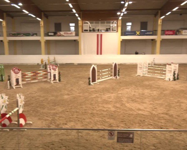 Reitturnier Stadl-Paura 2024