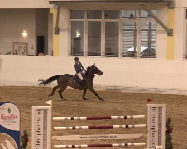 Reitturnier Stadl-Paura 2024