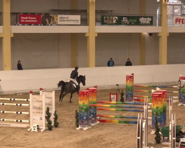 Reitturnier Stadl-Paura 2024