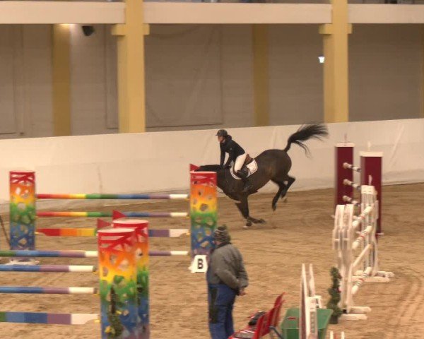 Reitturnier Stadl-Paura 2024