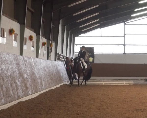 Reitturnier Datteln 2013